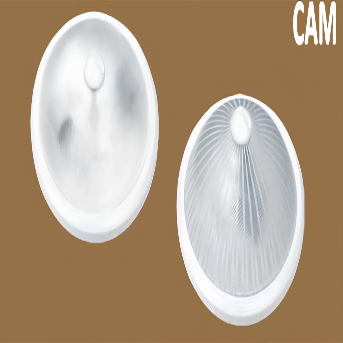 Trend Cam Glop Arm Çift  Duylu 2XE27 1